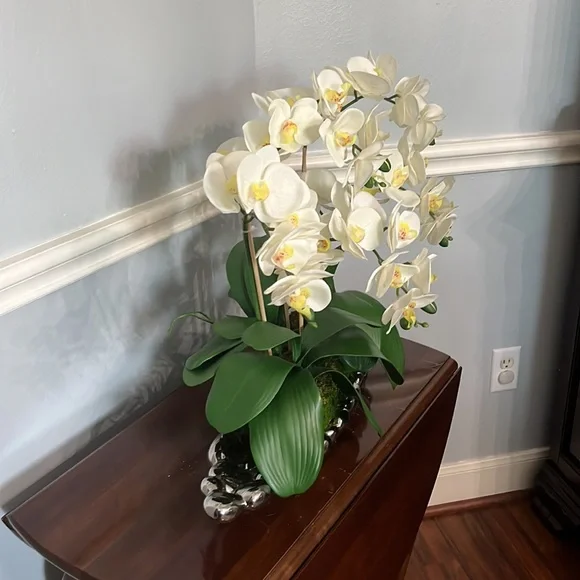 White orchid with silver vase
